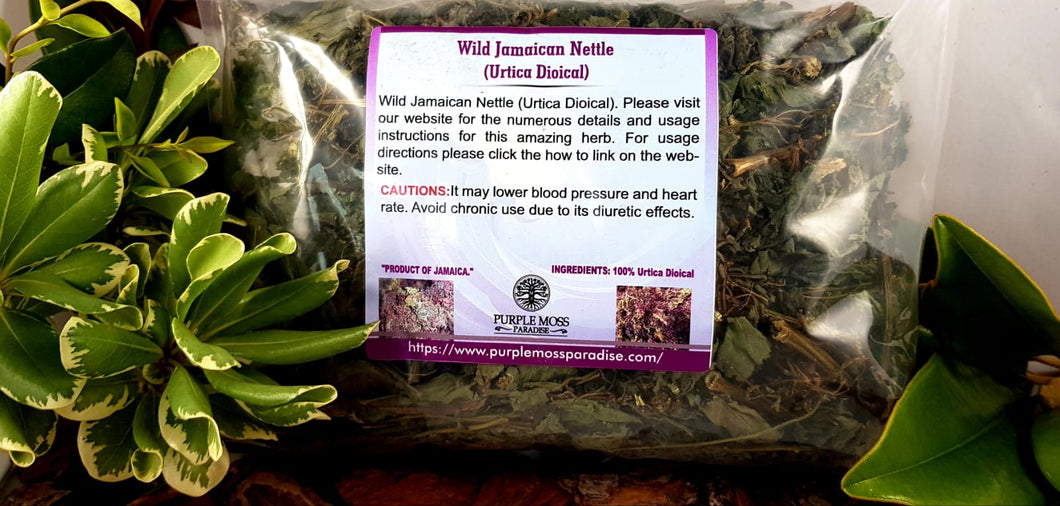 Wild Jamaican Nettle (Urtica Dioical) 4OZ