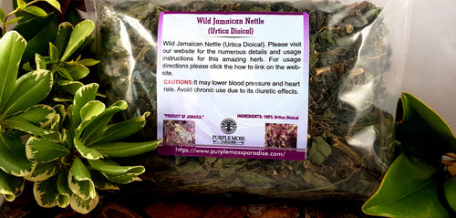 Wild Jamaican Nettle (Urtica Dioical) 4OZ
