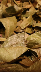 Jamaican Sour Sop Leaves